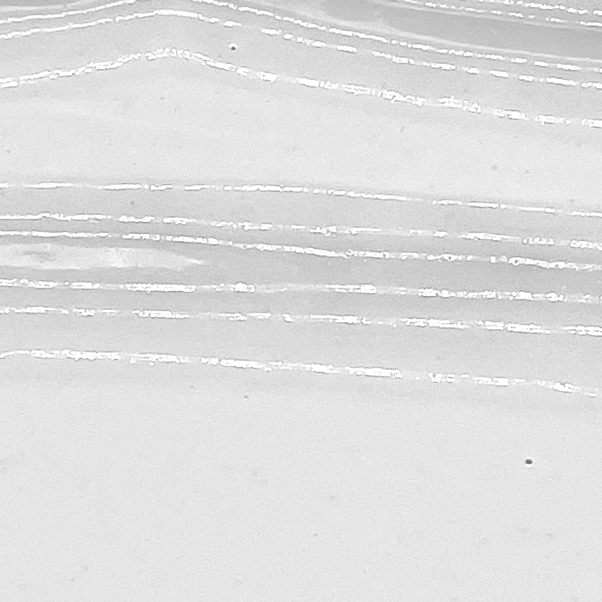 Fish platter Louis XV-CARRON-Paris