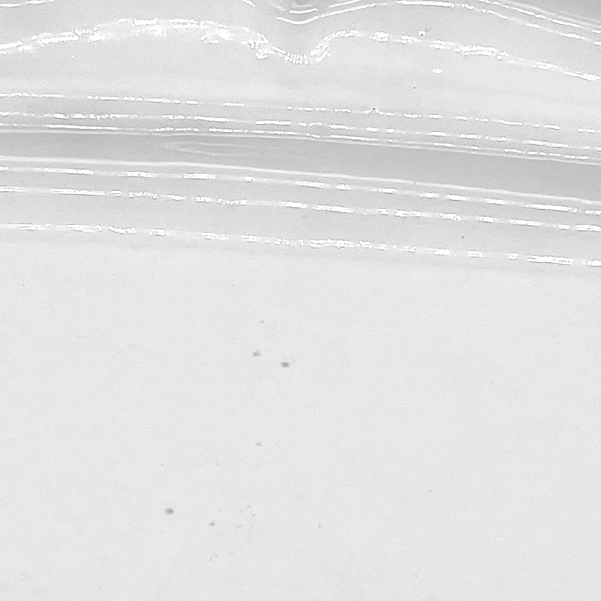 Fish platter Louis XV-CARRON-Paris